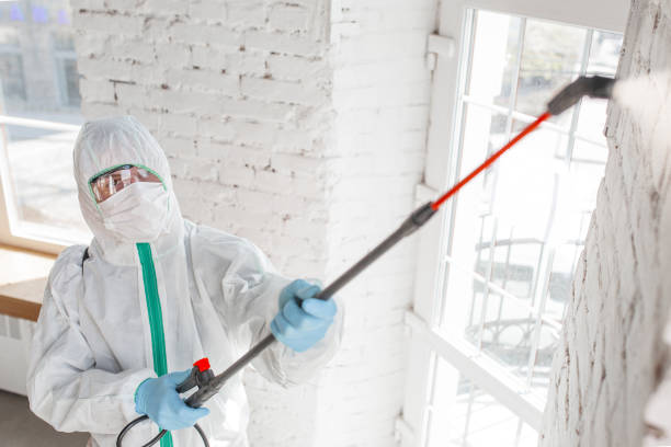 Best Asbestos and Lead Testing During Mold Inspection  in Acushnet Center, MA