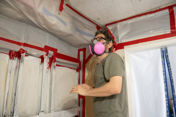 Best Environmental Consulting for Mold Prevention  in Acushnet Center, MA